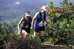 BIB: 230, 
                            <button type="button" onclick="openModal(24766043)" class="btn btn-primary btn-sm float-right btn-popup" data-toggle="modal" data-target=".modal-high-quality">
                        <i class="fas fa-shopping-cart"></i> Add to Cart
                    </button>
                                            <button type="button" onclick="isThisMe(24766043, true)" class="btn btn-success btn-sm float-right btn-popup btn-isme hidden" data-toggle="tooltip" data-placement="bottom" title="นี่คือรูปของคุณใช่ไหม คลิกที่นี่เพื่อเอาเข้าอัลบั้ม">
                        <i class="fas fa-plus"></i> Add to album
                    </button>
                    <button type="button" onclick="isThisMe(24766043, false)" class="btn btn-warning btn-sm float-right btn-popup btn-isnotme hidden">
                        <i class="fas fa-ban"></i> Remove from album
                    </button>